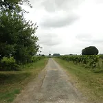Chateau Monichot Organic Vineyard Bed & Breakfast