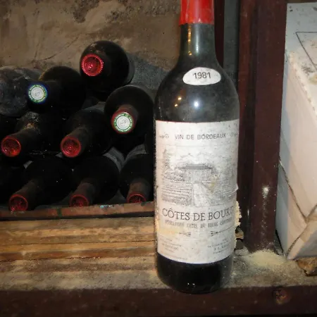 Chateau Monichot Organic Vineyard Couette-café