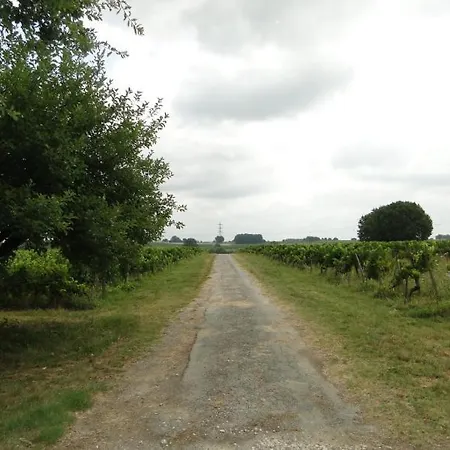 Chateau Monichot Organic Vineyard Couette-café